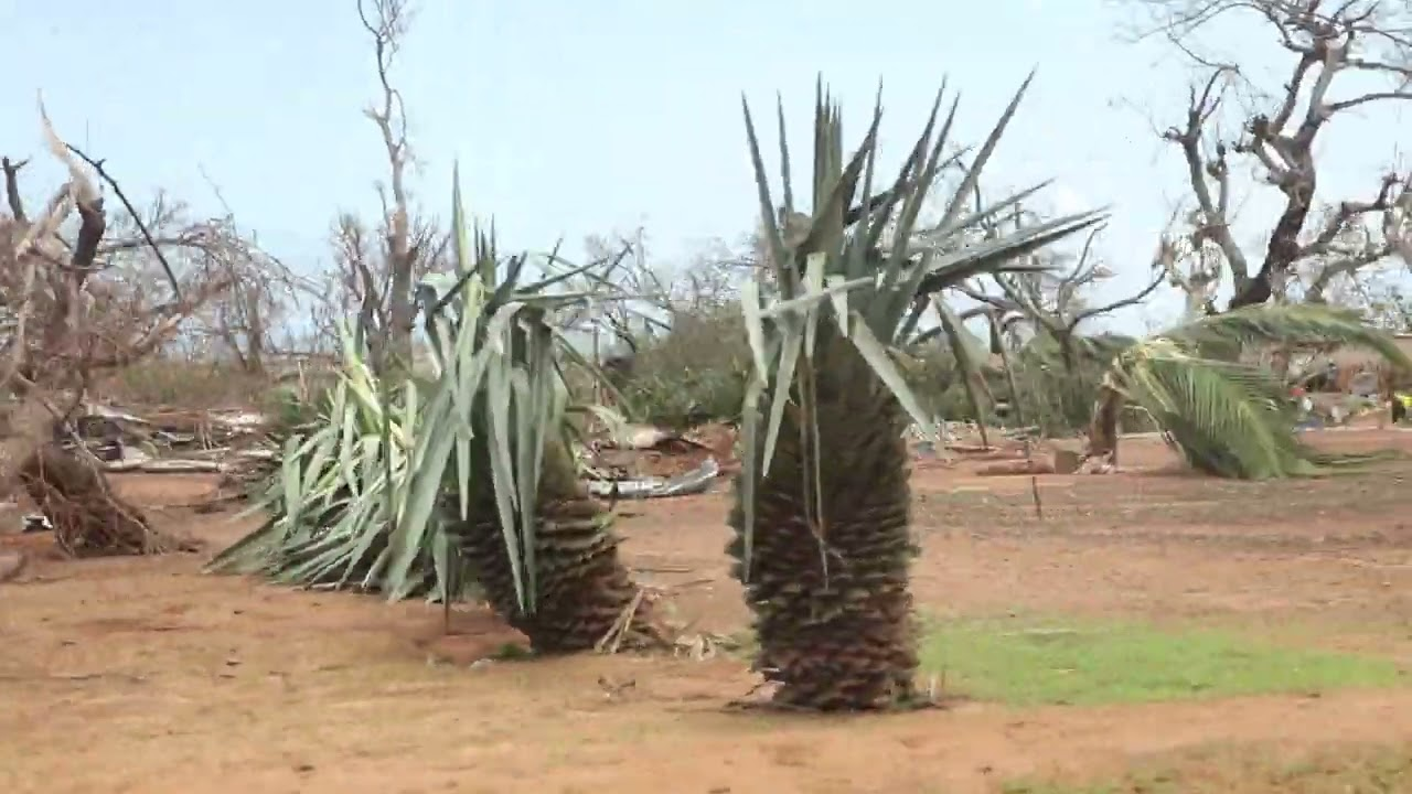 Efeitos do Ciclone JUDE Mecufi 2025