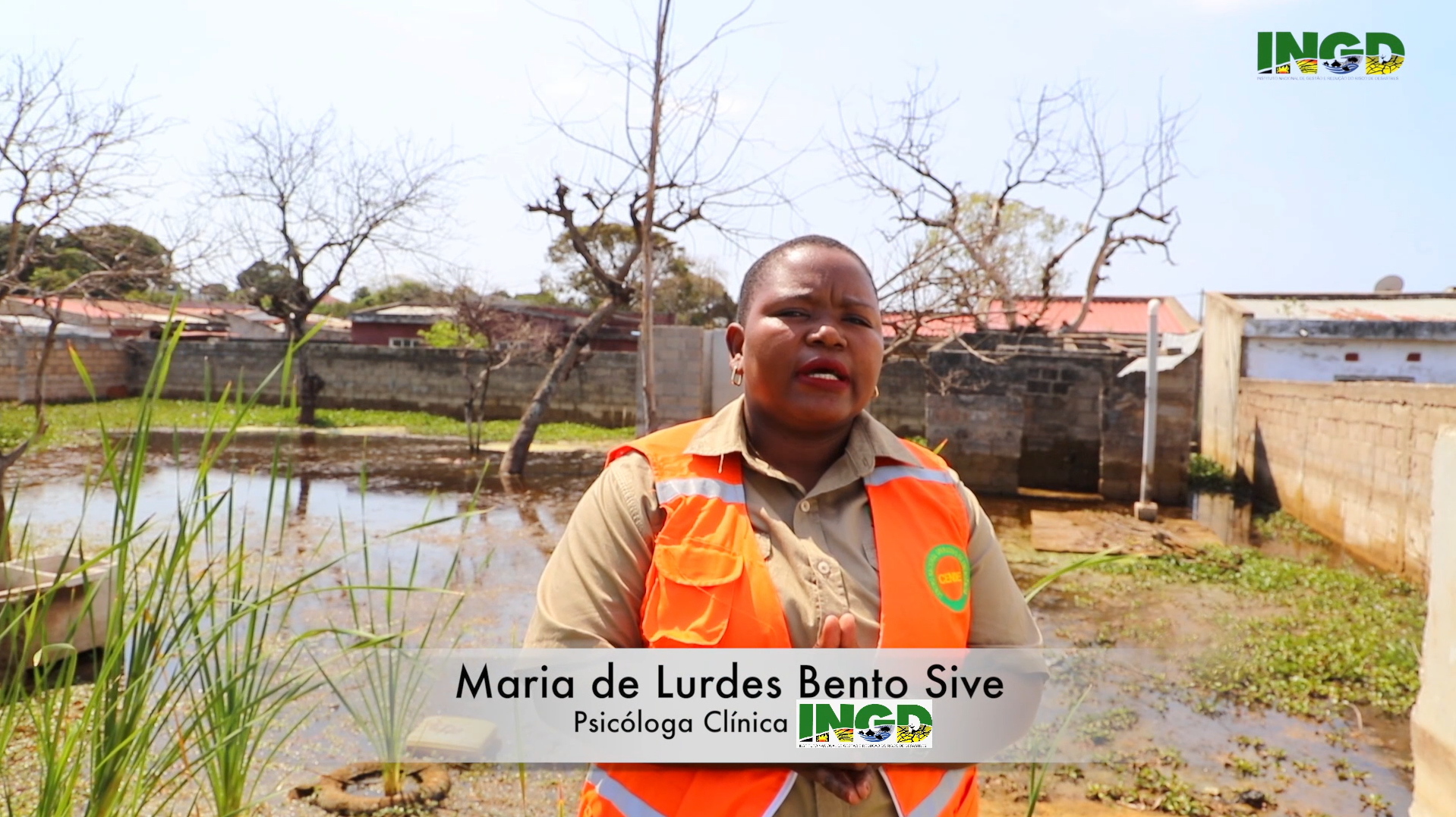 10 de Outubro de 2025-Dia Mundial da Saúde Mental