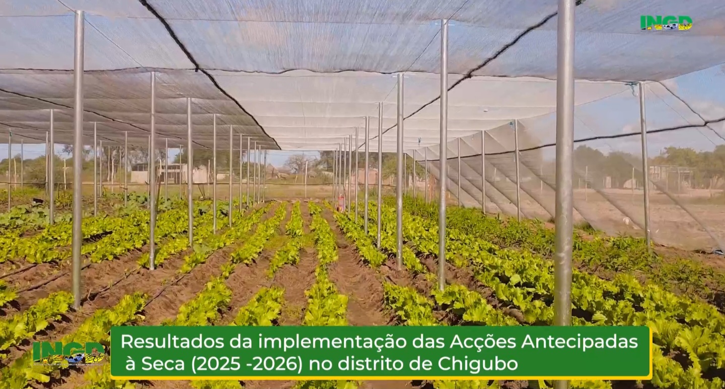 Resultados da Implementação das Acções Antecipadas à Seca (2025–2026) no Distrito de Chigubo
