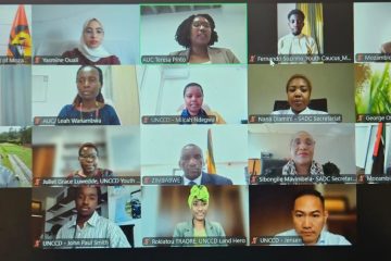 Paulo Tomás destaca resposta tripartida de Moçambique à seca durante webinário sobre desertificação