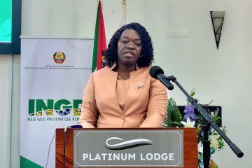 Luísa Celma Meque apela a maior Colaboração para Expansão das Acções Antecipadas na Mitigação dos Impactos aos Desastres