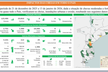 DADOS DOS IMPACTOS DAS CHEIAS EM TODO O PAÍS