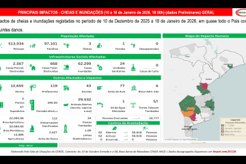 Dados dos Impactos das Cheias e Inundações
